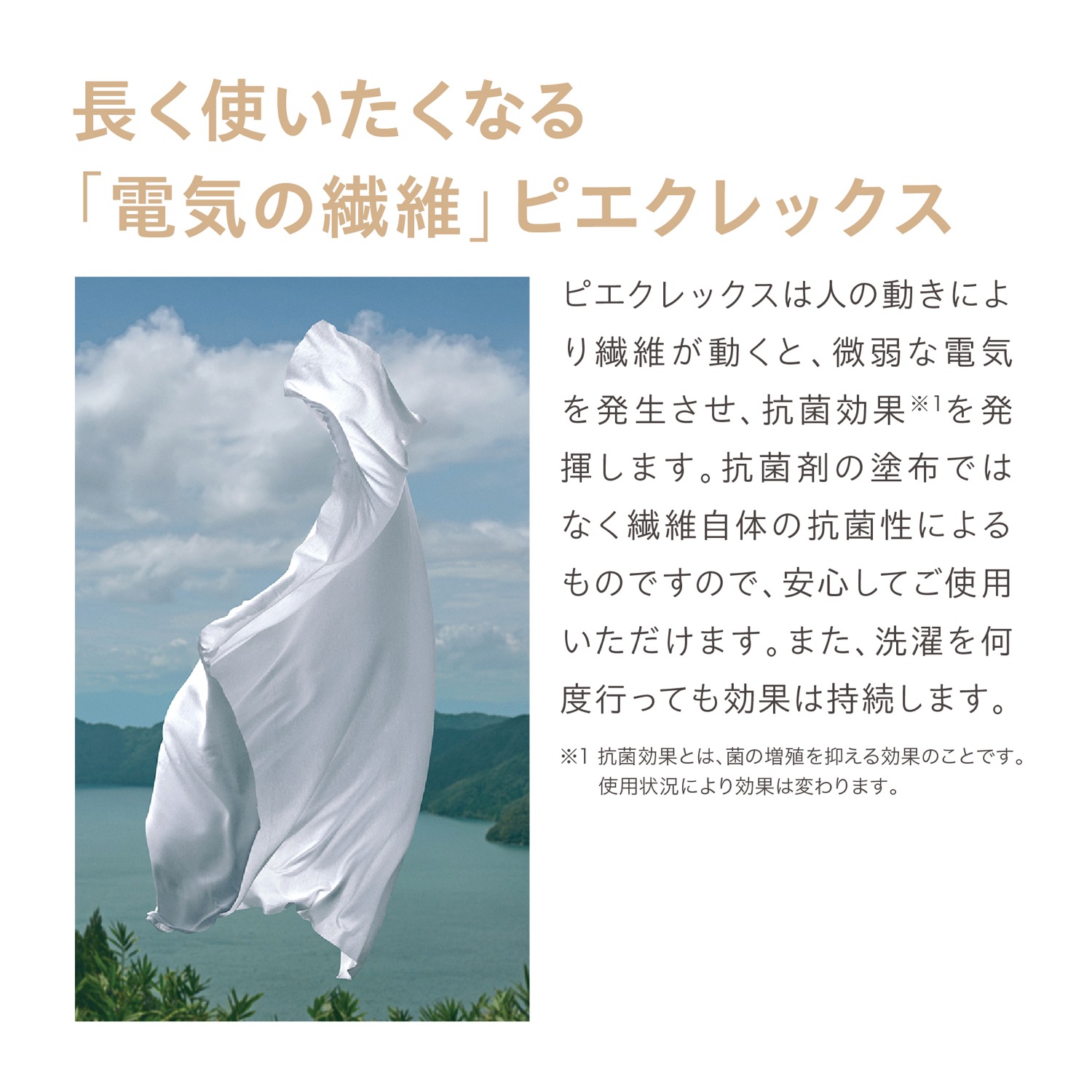 ピエクレック