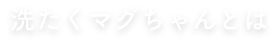 洗たくマグちゃんⓇとは?