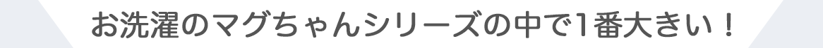 お洗濯のマグちゃんシリーズの中で1番大きい!
